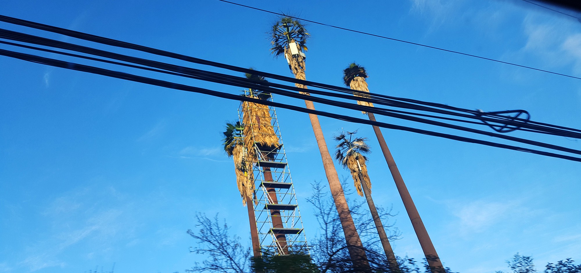 Disguised cellphone towers, Santiago, Chile